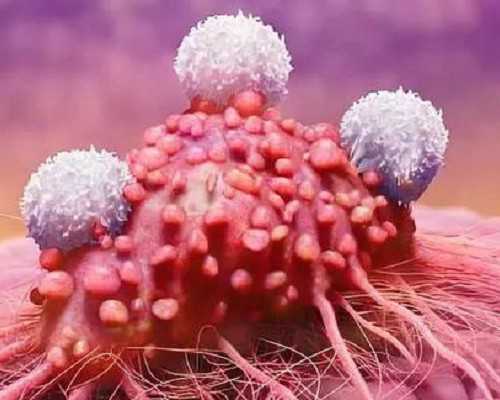 国内提供供卵的机构,哈尔滨第三代试管婴儿会有风险吗？大概多少钱！